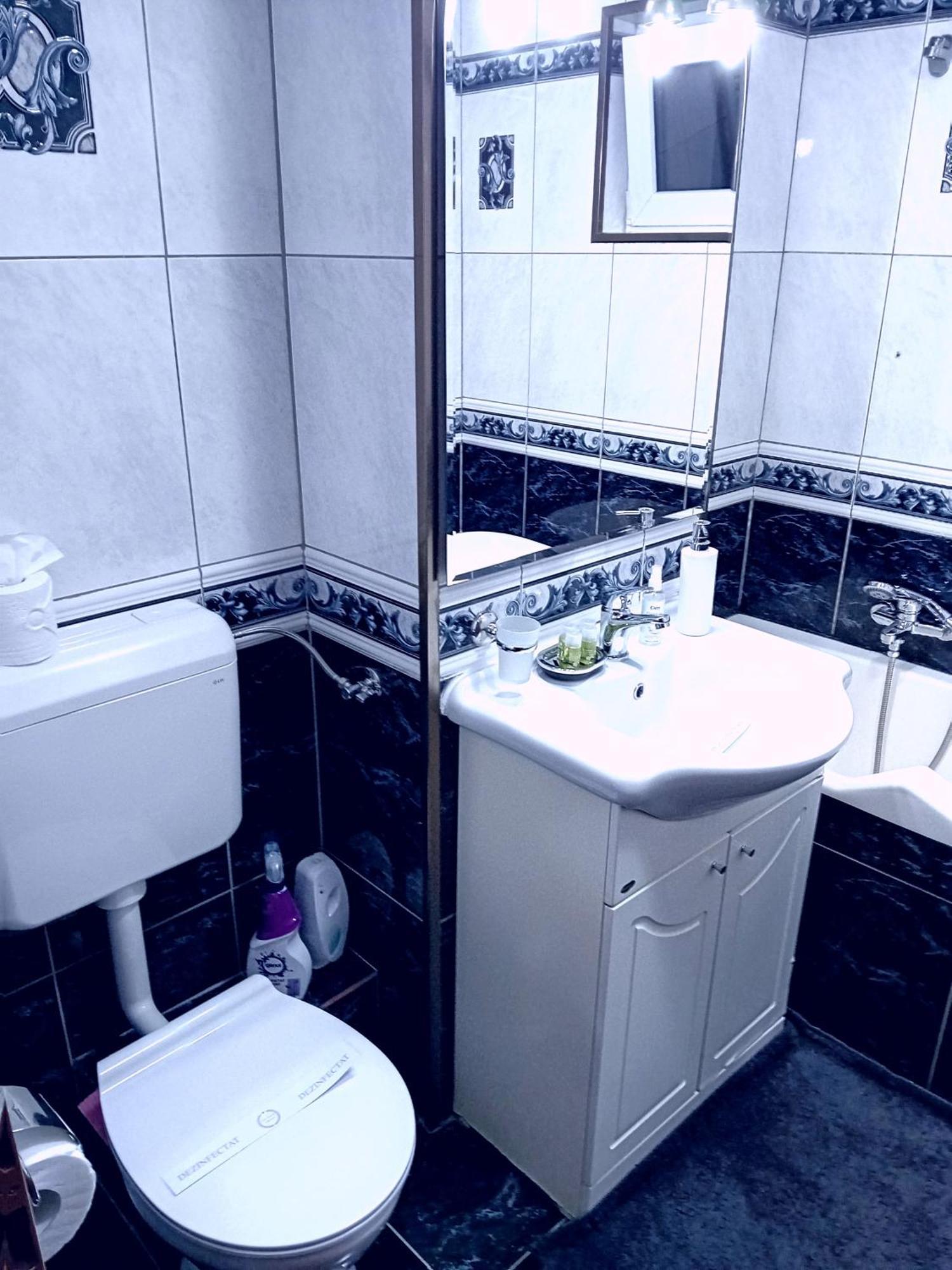 Perla Premium Apartment Timisoara