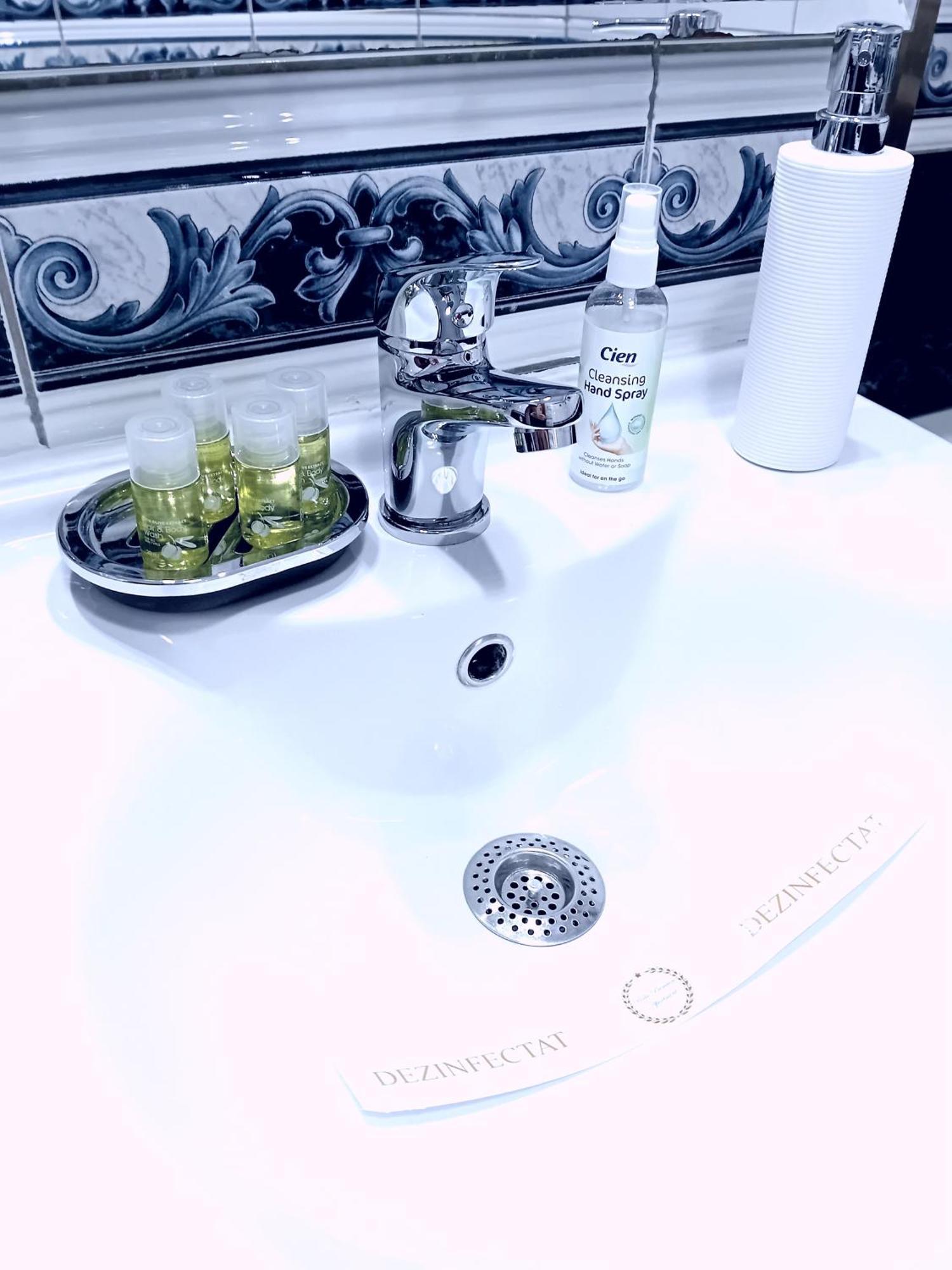 Apartment Perla Premium Timişoara